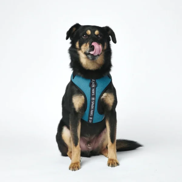 Ultra-Soft Activewear Geschirr