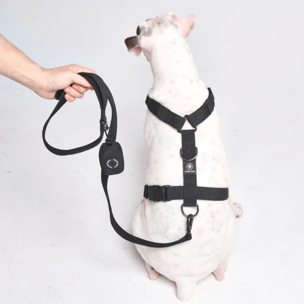 Anti-Pulling Y Strap Geschirr – Bild 3