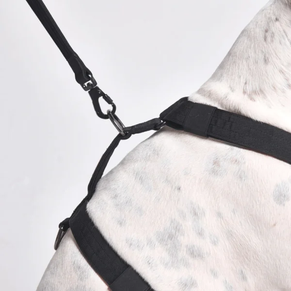 Anti-Pulling Y Strap Geschirr – Bild 2