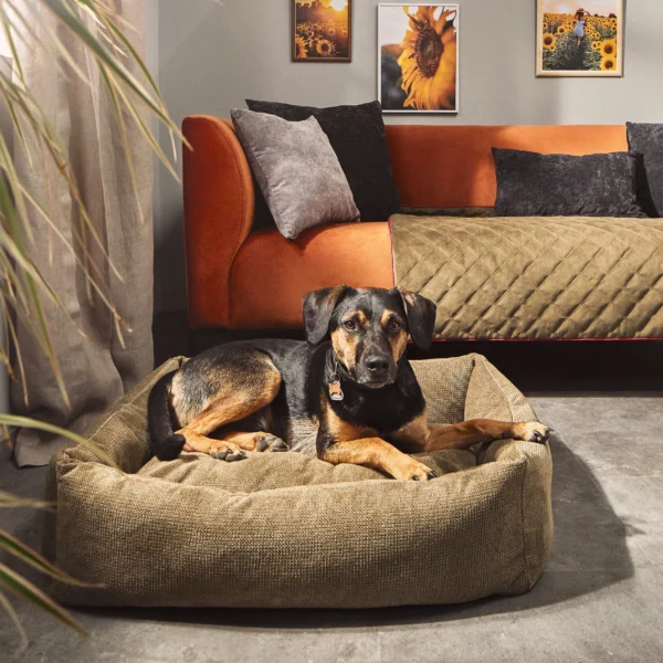 Classic Hundebett Tudor – Bild 11