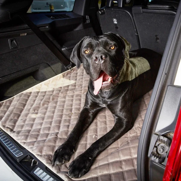 Decke Oxford - strapazierfähige Hundedecke in edler Samtoptik – Bild 5