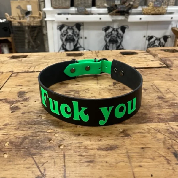 Ein einlagiges Biothane Halsband für Hunde. Das Halsband ist schwarz. Auf dem Halsband steht der Name des Hundes. Die Schrift ist neon grün.