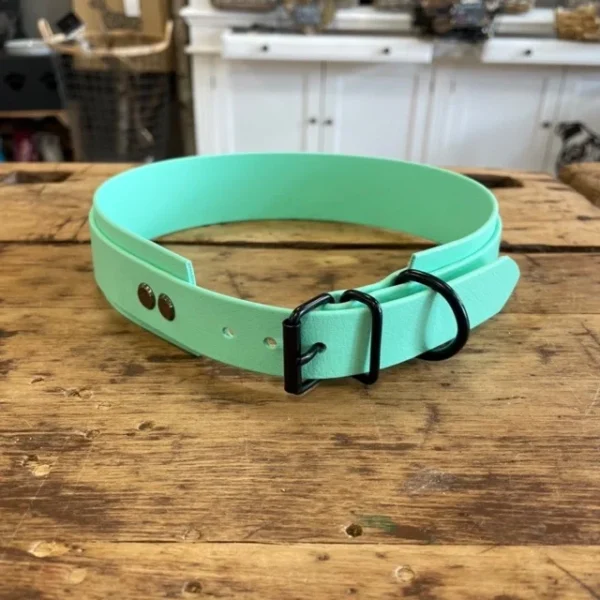 Ein Halsband für Hunde aus dem Material Biothane. Es hat die Farbe Mint. Der Verschluss des Halsband es ist schwarz.