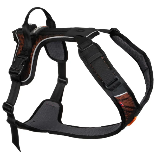 ROCK HARNESS