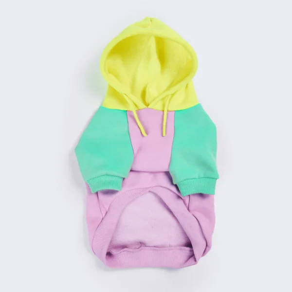 Lila-Türkis-Gelber Hunde Hoodie – Bild 2