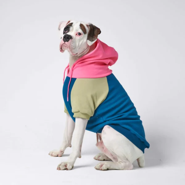 Pink-Olive-Blauer Hunde Hoodie
