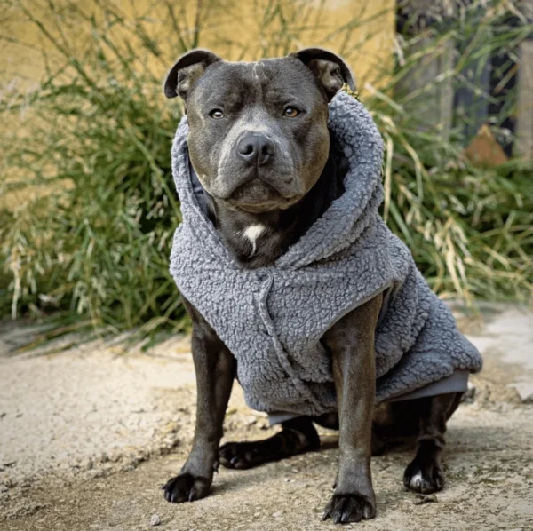 Teddy Sherpa Hundejacke - Grau – Bild 3