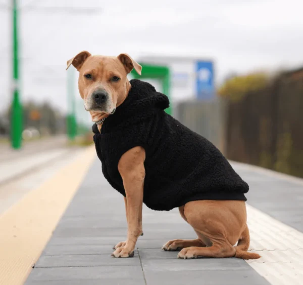 Teddy Sherpa Hundejacke - Schwarz – Bild 4