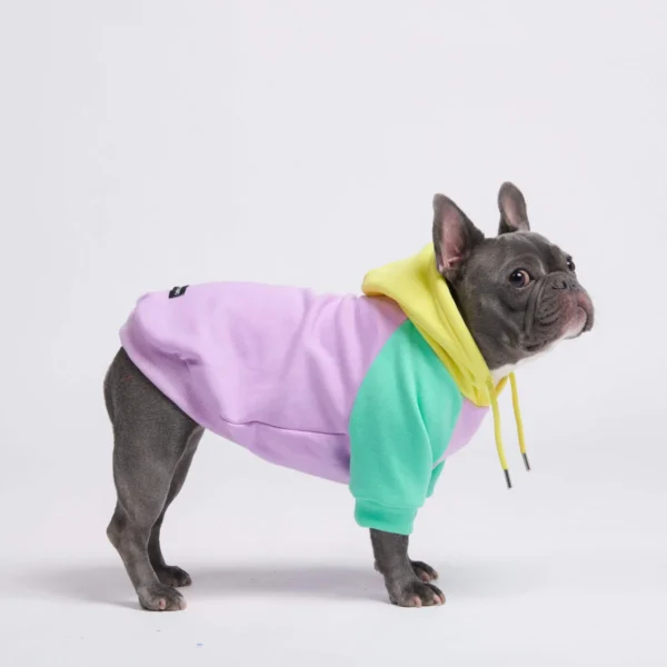 Lila-Türkis-Gelber Hunde Hoodie – Bild 3
