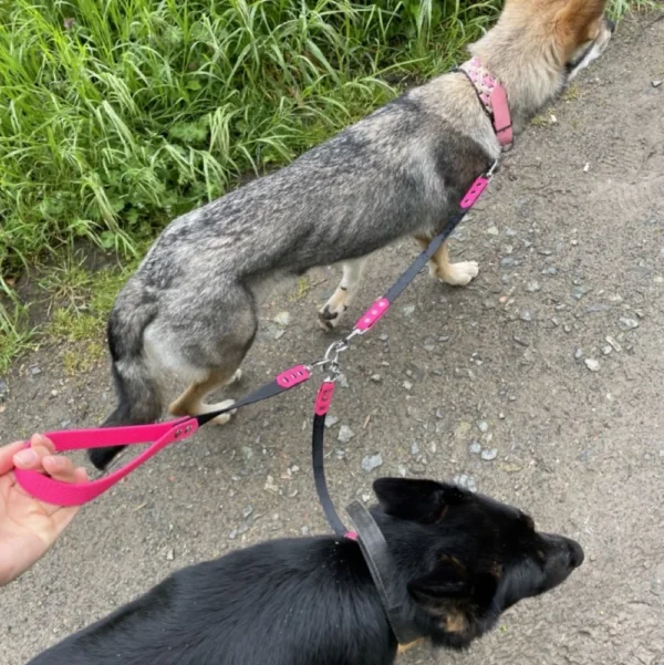 Leine für mehrere Hunde aus Hexa – Bild 2