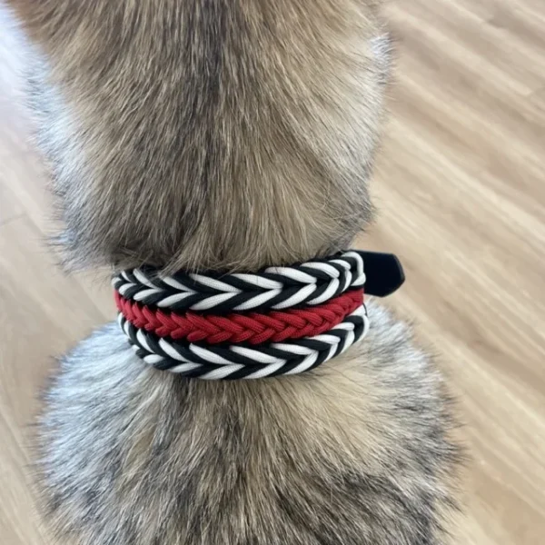 Halsband für Hunde aus dem Material Paracord. Das Halsband hat ein Biothane Adapter. Das Halsband besteht aus den Farben, schwarz rot und weiß. Ein Hund trägt das Halsband.