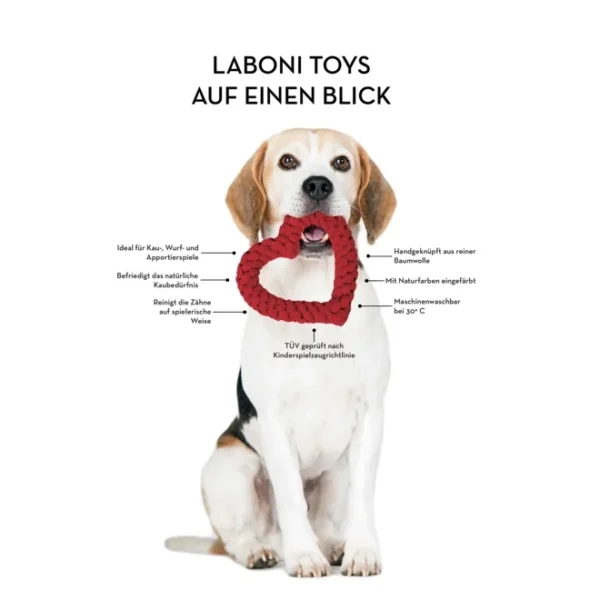 Maxi Schleuderball Spielzeug für Hunde – Bild 4