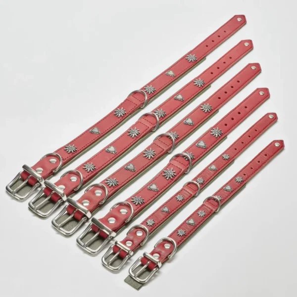 Elegantes Hundehalsband mit Applikationen