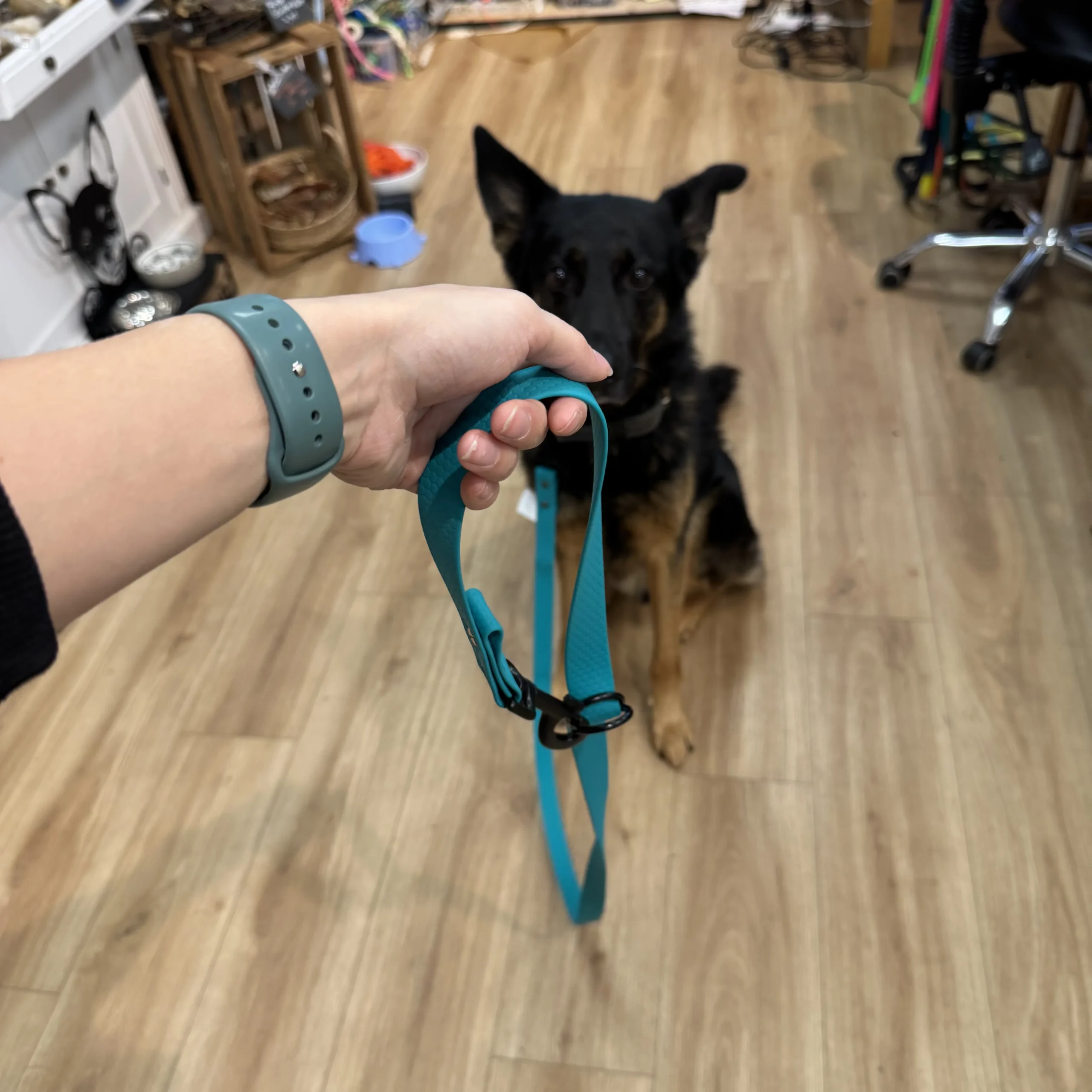 Handsfree Hunde Leine aus Hexa – Bild 3