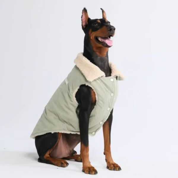 Cordjacke mit Sherpa-Fleece