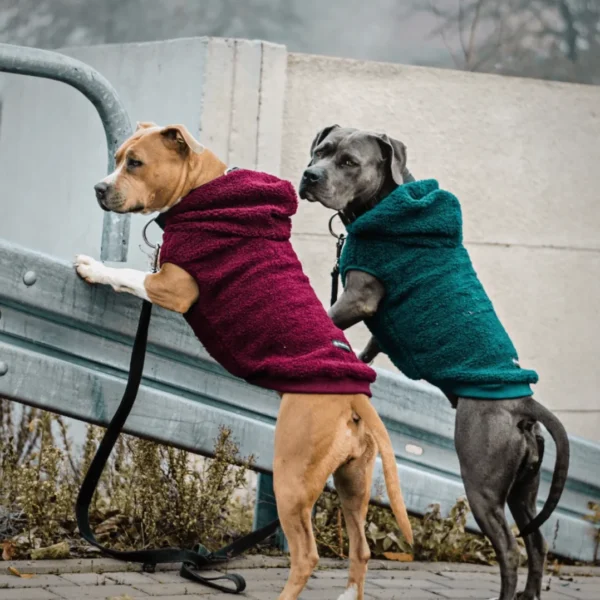 Teddy Sherpa Hundejacke - Tannengrün – Bild 5