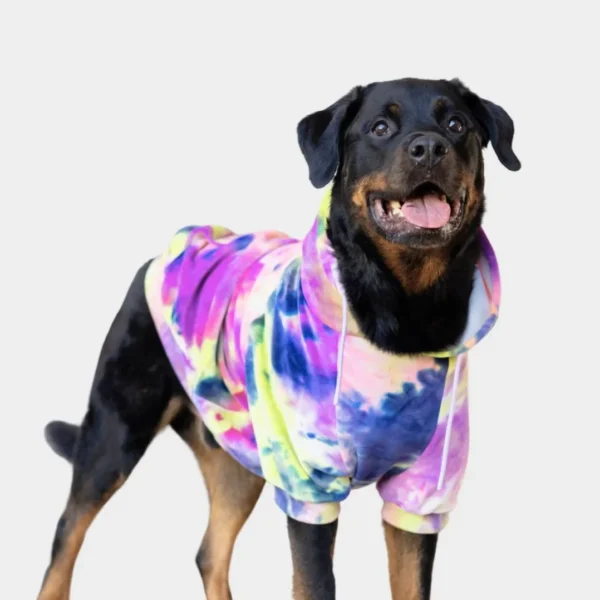 Samtiger Hunde Hoodie - Beerenlimonade