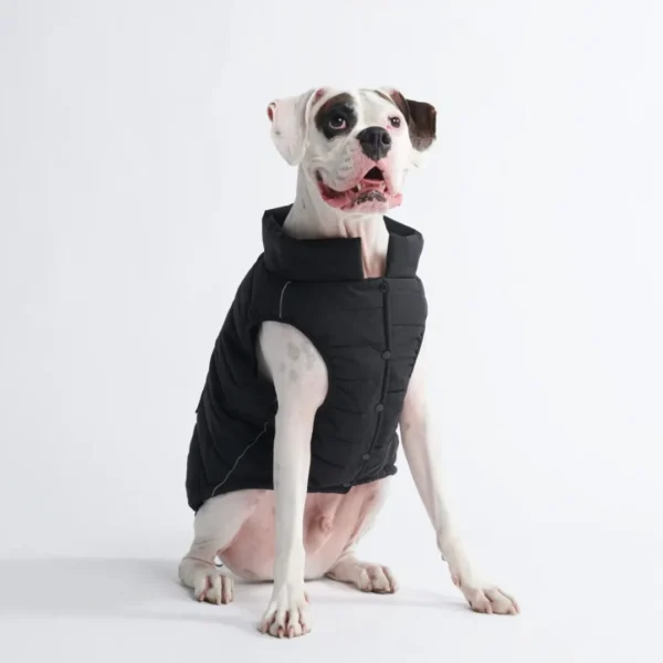 Wasserdichte Hundeweste - Schwarz