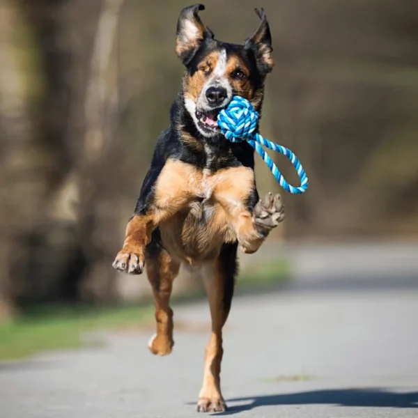 Maxi Schleuderball Spielzeug für Hunde – Bild 2