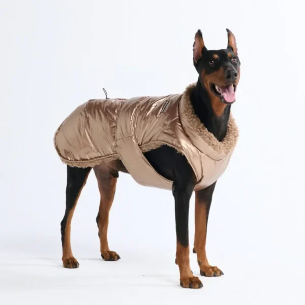Slip-On Winterjacke - Metallisch Gold – Bild 2